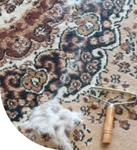 قیمت رفوی فرش در پاسداران