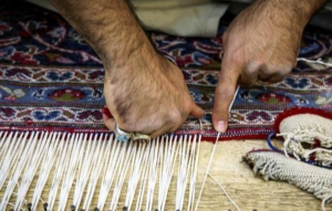 ریشه زنی فرش در پاسداران
